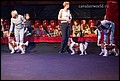 кобели класс открытый (5).jpg