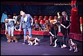 кобели класс победителей (1).jpg
