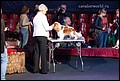 кобели класс промежуточный (1).jpg