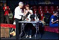 кобели класс чемпионов НКП (4).jpg