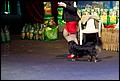 кобели класс чемпионов (1).jpg