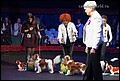 кобели класс чемпионов (20).jpg