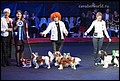 кобели класс чемпионов (26).jpg