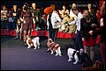 кобели класс чемпионов (27).jpg