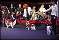 кобели класс чемпионов (28).jpg