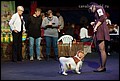 кобели класс чемпионов (34).jpg