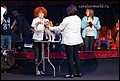 кобели класс щенки (13).jpg
