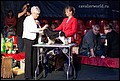 кобели класс юниоров (11).jpg