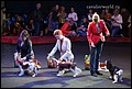 кобели класс юниоров (27).jpg