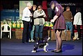 кобели класс юниоров (4).jpg