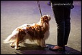 конкурс пар (4).jpg