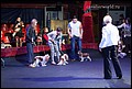 конкурс питомников (1).jpg