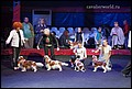 конкурс производителей (6).jpg