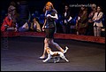 суки класс беби (2).jpg