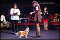 суки класс ветеранов (1).jpg