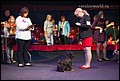 суки класс ветеранов (3).jpg