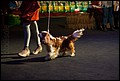 суки класс ветеранов (5).jpg