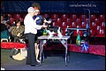 суки класс открытый (13).jpg