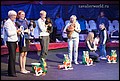 суки класс открытый (18).jpg