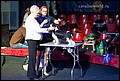 суки класс победителей (1).jpg