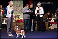 суки класс промежуточный (15).jpg