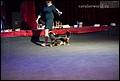 суки класс промежуточный (18).jpg