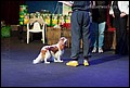 суки класс промежуточный (4).jpg