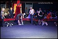 суки класс щенков (14).jpg