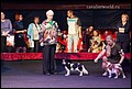 суки класс щенков (15).jpg