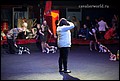 суки класс щенков (17).jpg