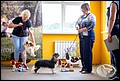УЛЬМА ОТ ФИДЕЛИС ЭТ ФОРТИС  (1).jpg