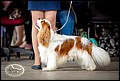 АЗАРТИС РОКФЕЛЛЕР (3).jpg