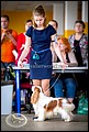 АЗАРТИС РОКФЕЛЛЕР (4).jpg