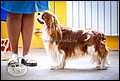 BАDDY SАN SАNTIMENT (2).jpg