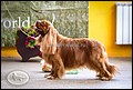 LAZYCROFT'S B'FUL LOVED BLESSED (2).jpg