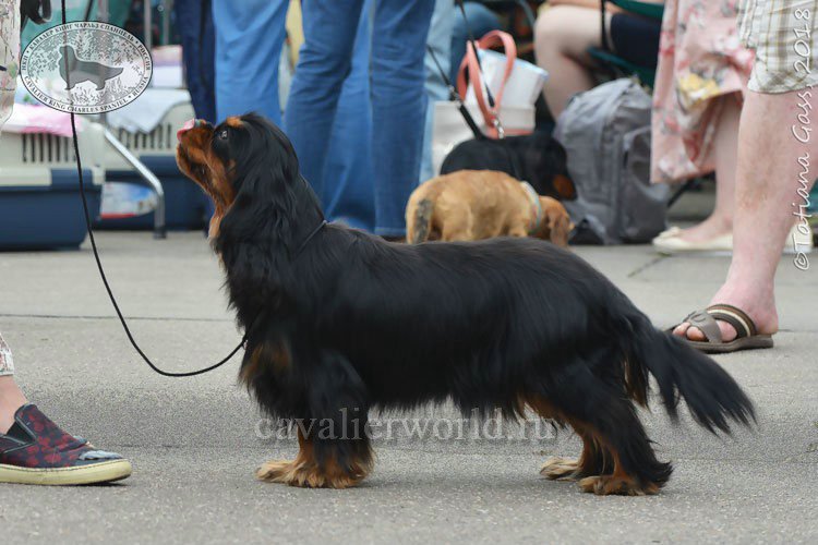 DSC_4205.jpg
