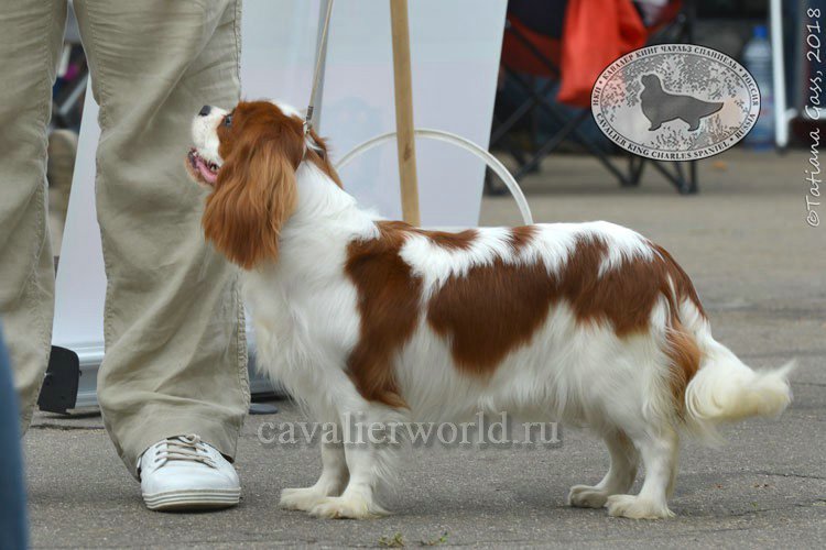 DSC_4431.jpg