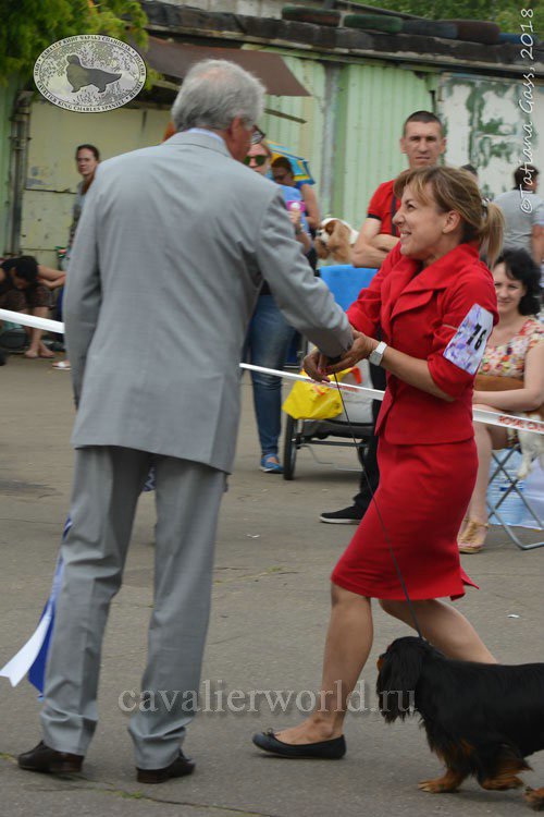 DSC_4564.jpg