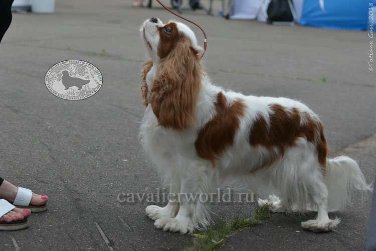 DSC_5296.jpg