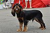 DSC_3929.jpg