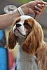 DSC_3937.jpg