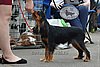 DSC_3940.jpg