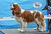 DSC_4022.jpg