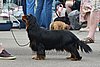 DSC_4205.jpg
