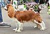 DSC_4226.jpg