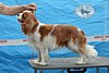 DSC_4246.jpg