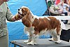 DSC_4257.jpg