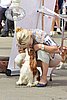 DSC_4282.jpg