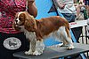 DSC_4298.jpg