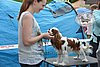 DSC_4382.jpg